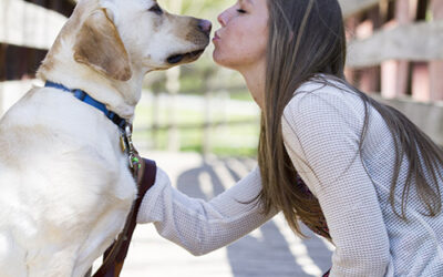 Getting Your Furry Friend Camera-Ready: A Guide to Pet Photography Sessions