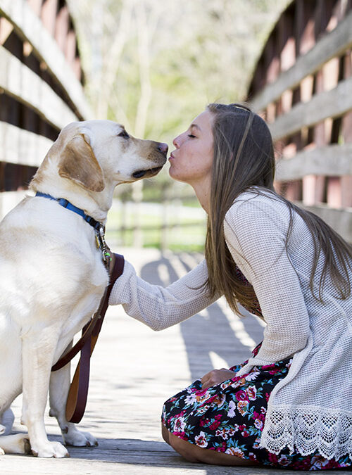 Getting Your Furry Friend Camera-Ready: A Guide to Pet Photography Sessions