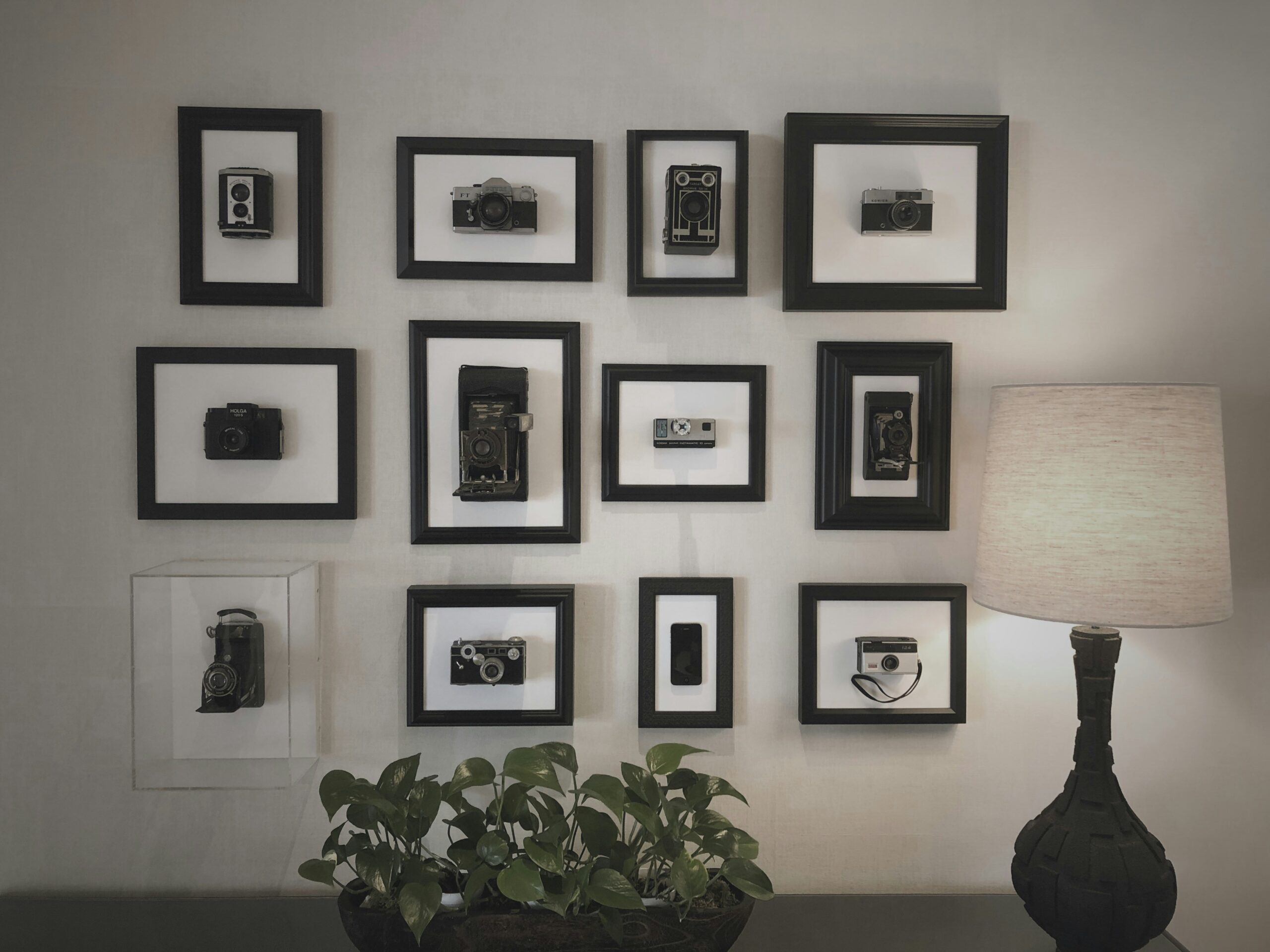 Framed photos on a wall